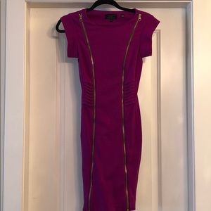 Ted Baker Bodycon dress Stunning Magenta colour